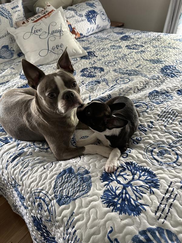 My new quilt