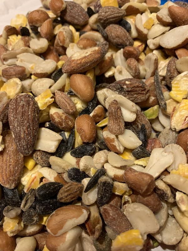 Lyric 5 lb. Fruit and Nut High Energy Wild Bird Food 2647345 - The Home  Depot