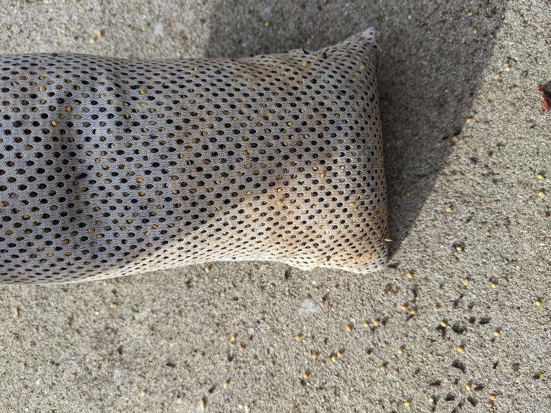 Fits in sock feeders