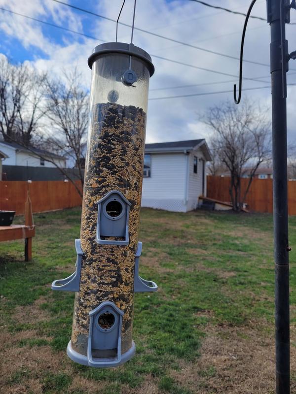 bird mix