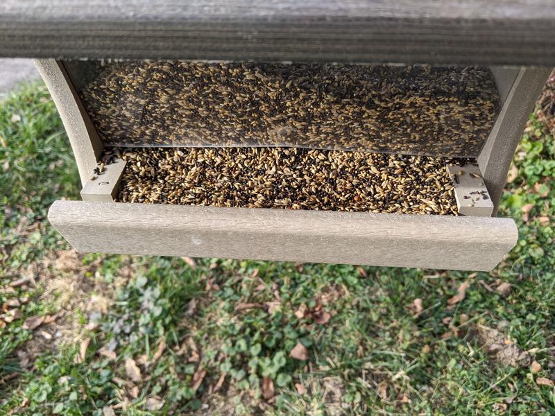 Fits in large feeders