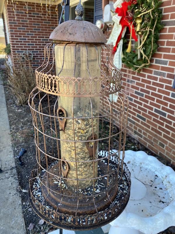My covered bird feeder