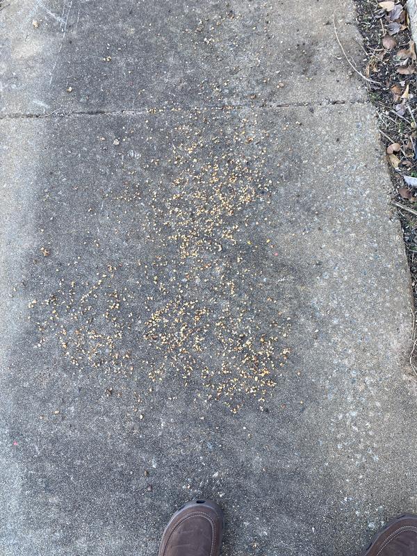 Feed has been lying here for three days