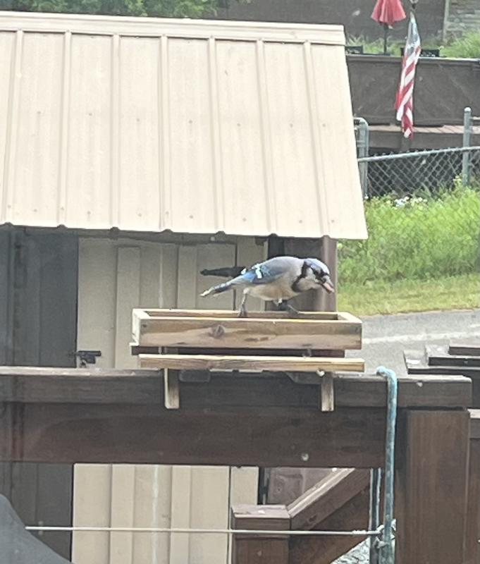 Photo from Susan P