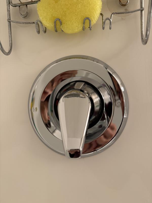 Shower handle after photo