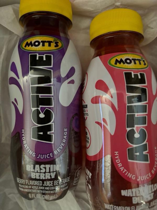 Products: Juices, Applesauces, Snacks | Mott&rsquo;s®
