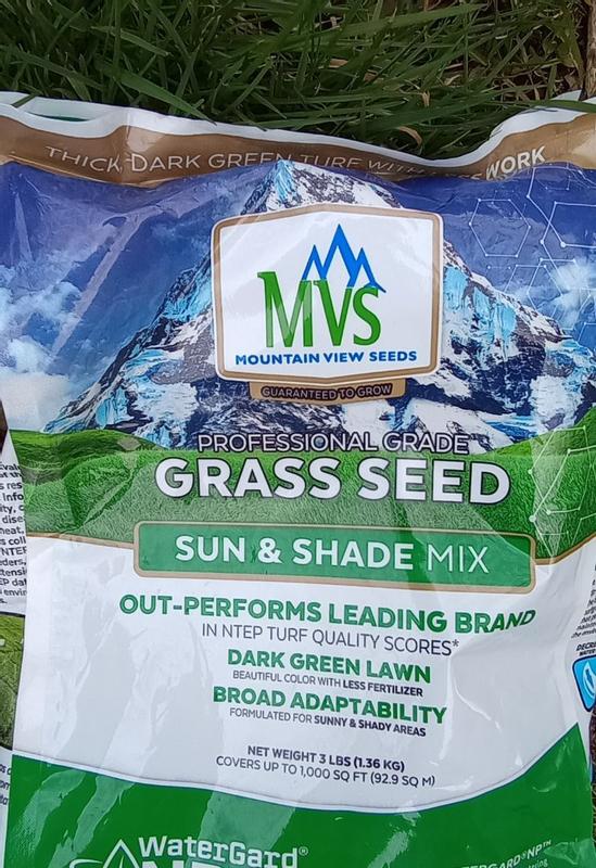 Sun & Shade Mix – MVS Lawn