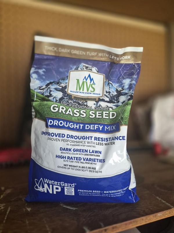 SEED  Mountain View Seeds Drought Defy 7 lbs. Grass Seed 111960 - The