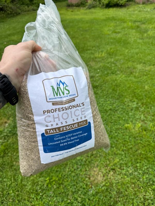 Professional's Choice Tall Fescue – MVS Lawn
