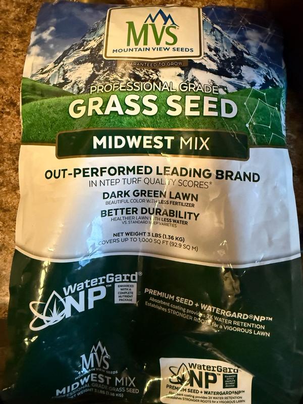 Premium Grass Seed Mix for Beautiful Midwestern Lawns – MVS Lawn