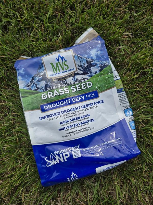 Professional Grade Grass Seed Designed For Heat And Drought – MVS Lawn