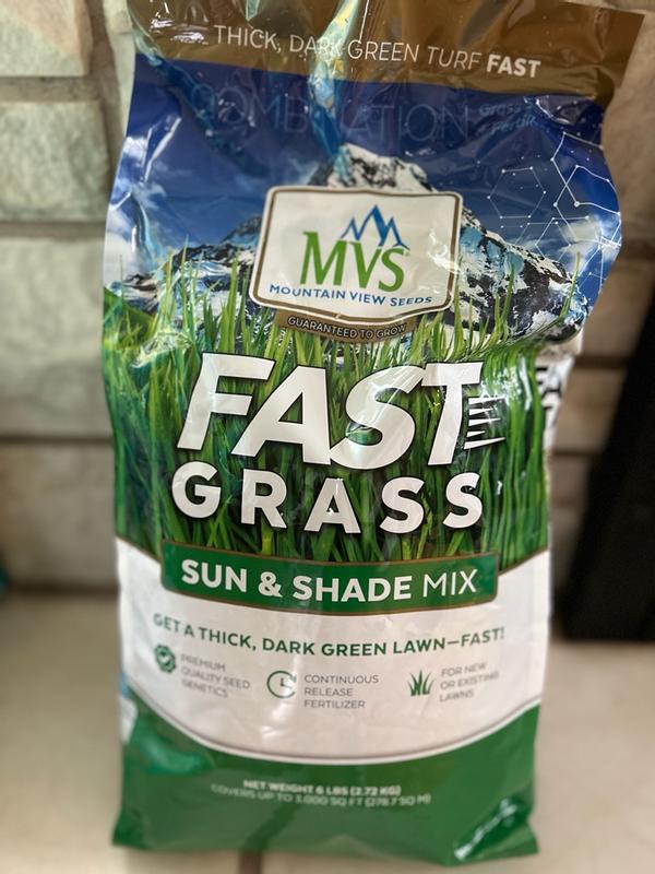 Fast Grass – MVS Lawn