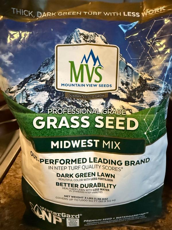 Premium Grass Seed Mix for Beautiful Midwestern Lawns – MVS Lawn