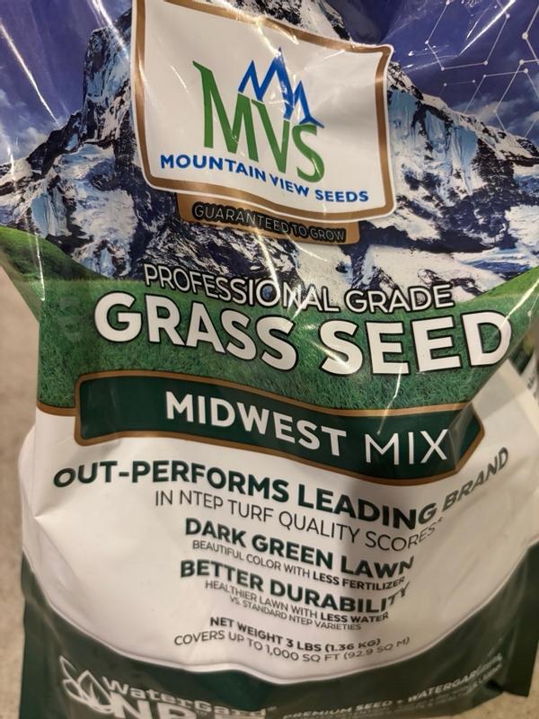 Premium Grass Seed Mix for Beautiful Midwestern Lawns – MVS Lawn