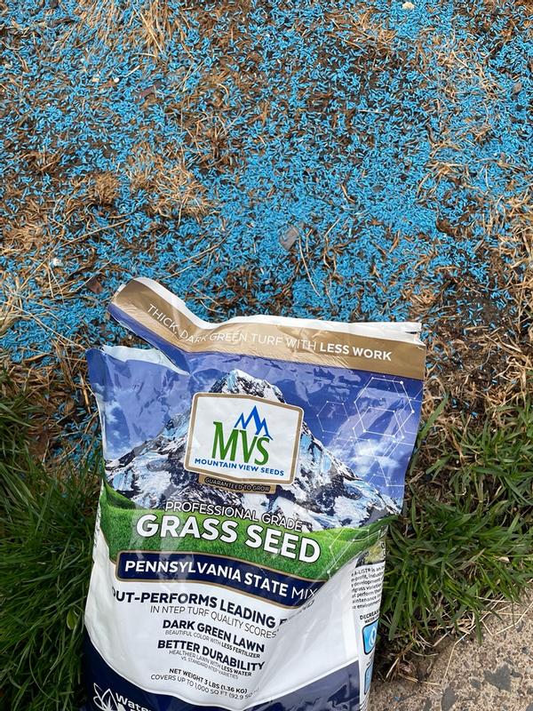 Premium Pennsylvania Grass Seed Mix for Beautiful Lawns – MVS Lawn