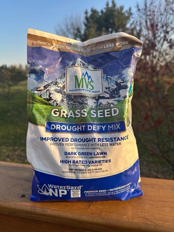 Professional Grade Grass Seed Designed For Heat And Drought – MVS Lawn