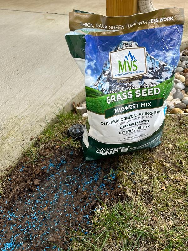 Premium Grass Seed Mix for Beautiful Midwestern Lawns – MVS Lawn