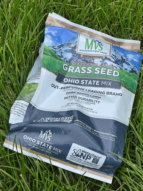 Premium Ohio Grass Seed Mix for Beautiful Lawns  MVS Lawn