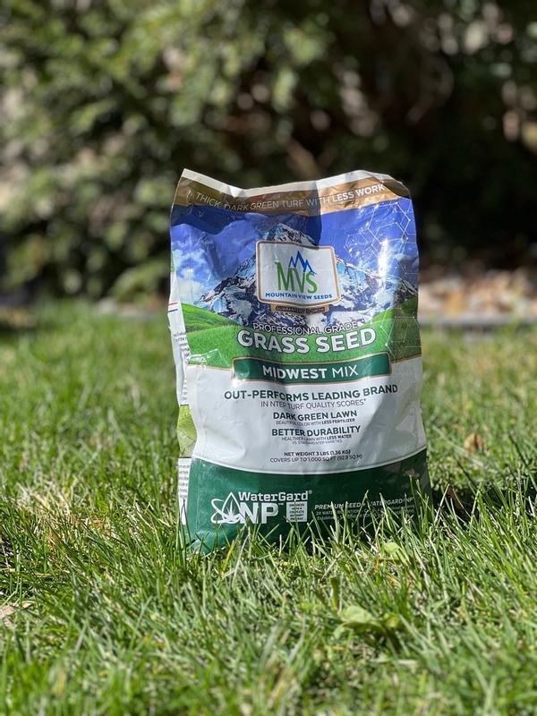 Premium Grass Seed Mix for Beautiful Midwestern Lawns – MVS Lawn