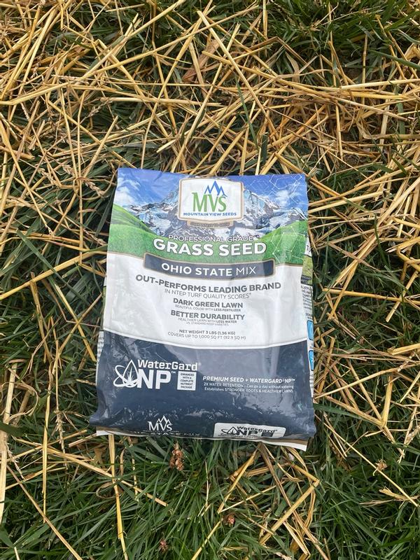 popcorn seeds for planting Yellow Popcorn Seed for Growing Heirloom OP Open Pollinated Non-GMO Garden Seed by Country Creek Acres 25 Seeds