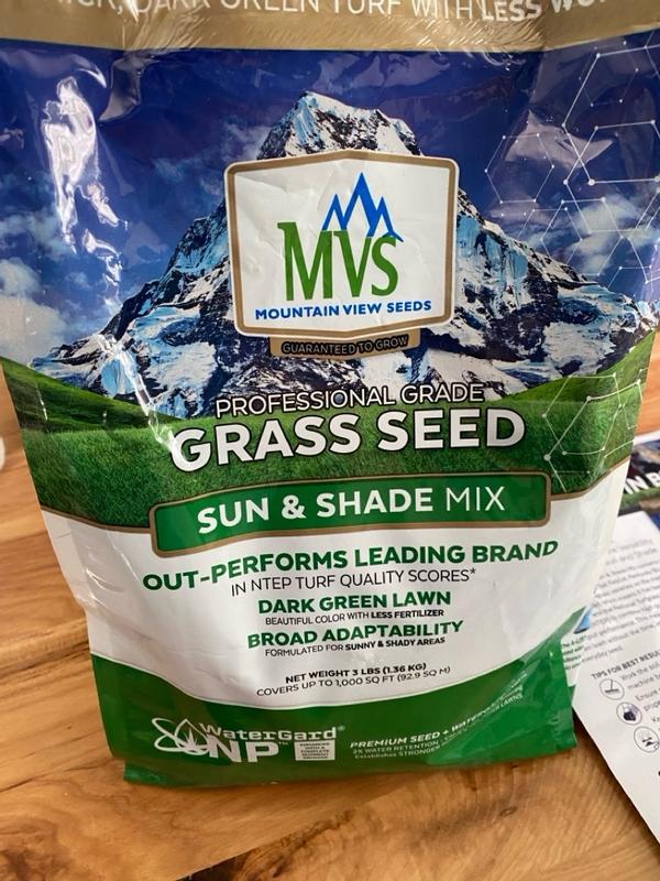 Sun & Shade Mix – MVS Lawn
