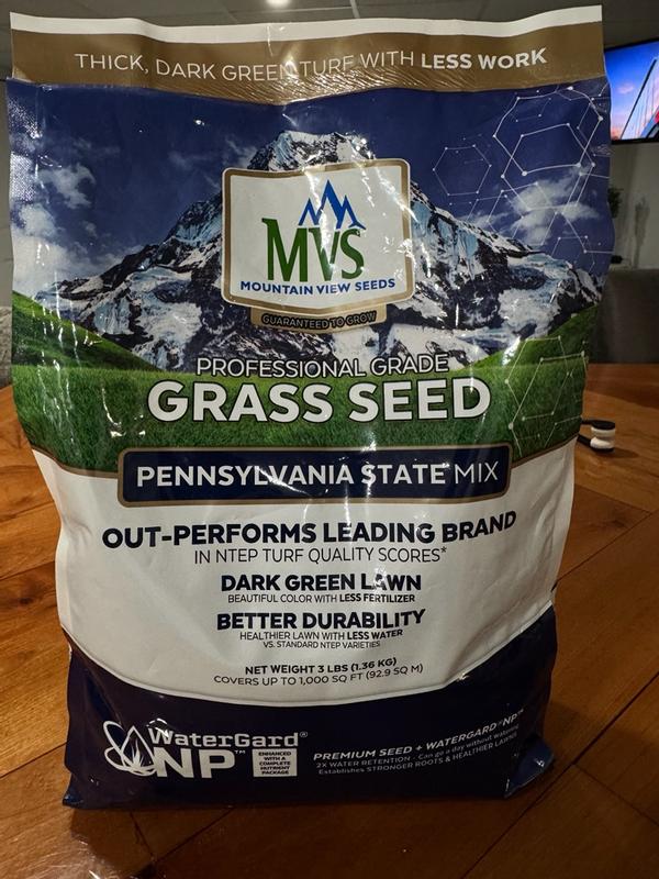 Premium Pennsylvania Grass Seed Mix for Beautiful Lawns – MVS Lawn