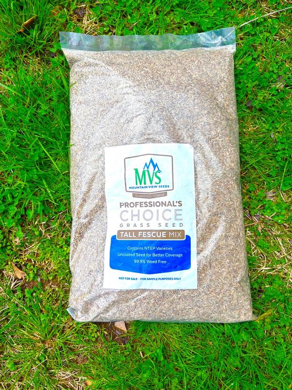 Professional's Choice Tall Fescue – MVS Lawn