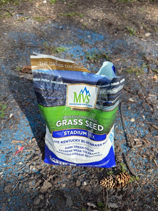Professional Grade Grass Seed Used In Iconic Stadiums – MVS Lawn