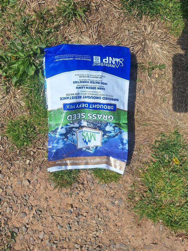 Professional Grade Grass Seed Designed For Heat And Drought – MVS Lawn