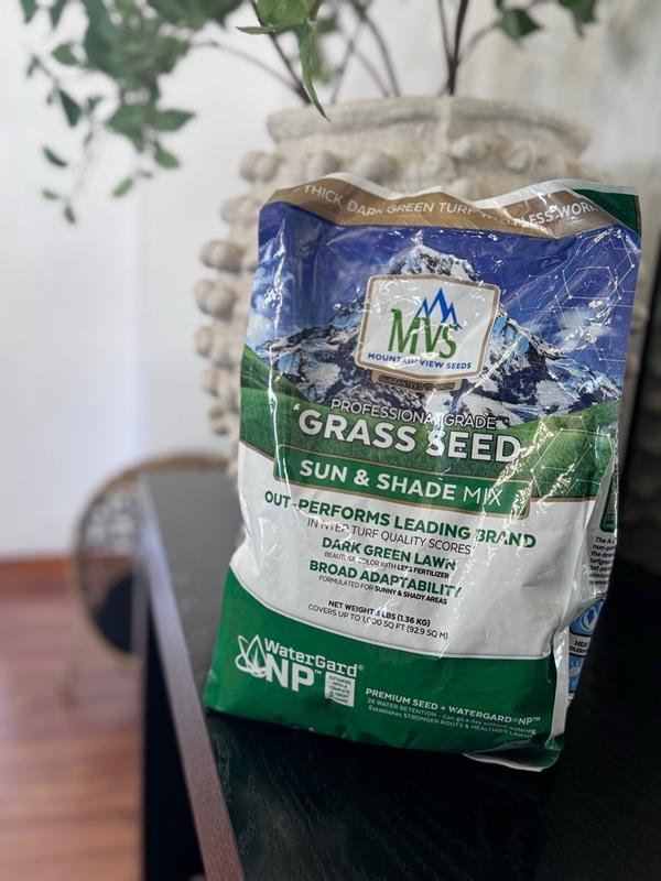 Sun & Shade Mix  MVS Lawn