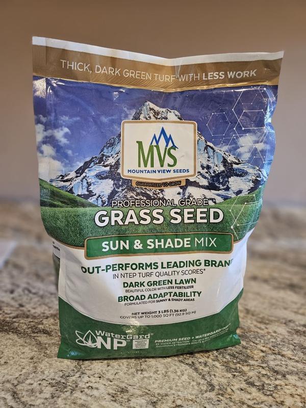 Sun & Shade Mix – MVS Lawn