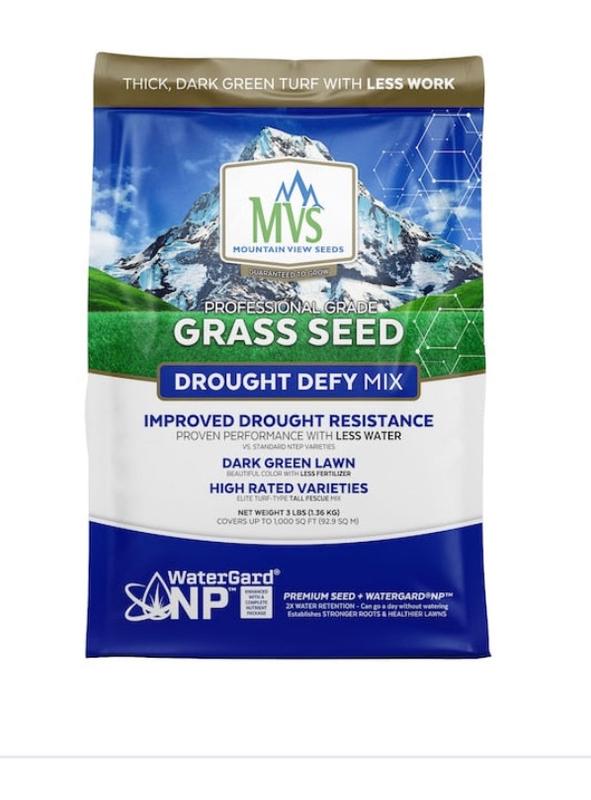 Professional Grade Grass Seed Designed For Heat And Drought – MVS Lawn