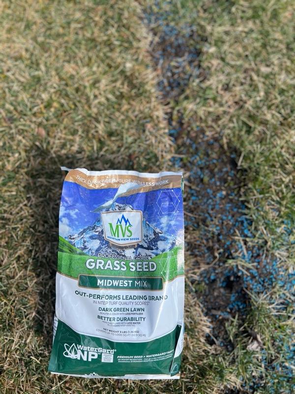 Premium Grass Seed Mix for Beautiful Midwestern Lawns  MVS Lawn