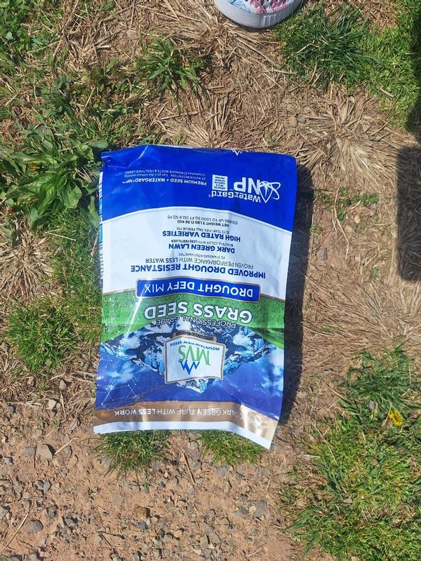 Professional Grade Grass Seed Designed For Heat And Drought – MVS Lawn