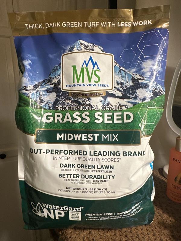 Premium Grass Seed Mix for Beautiful Midwestern Lawns – MVS Lawn