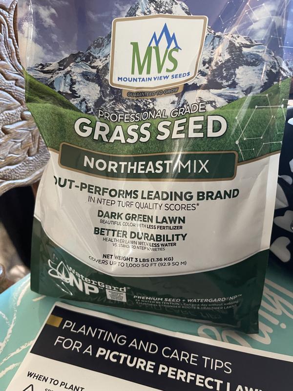 Premium Northeast Grass Seed Mix – MVS Lawn