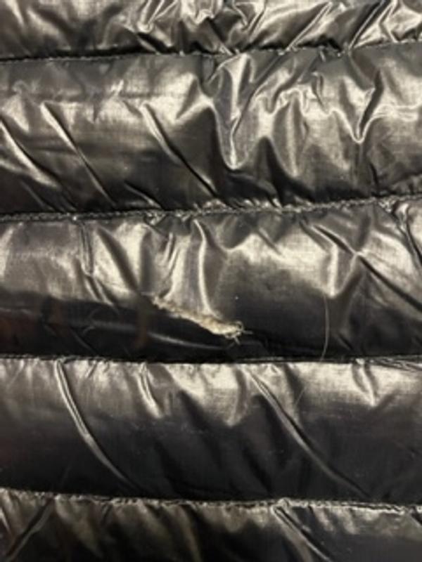 Photo submitted with review of product