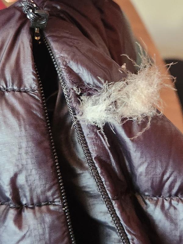 Photo submitted with review of product