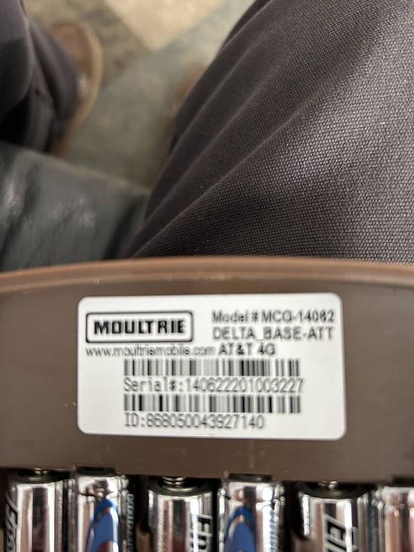 Photo - commentaire 1.