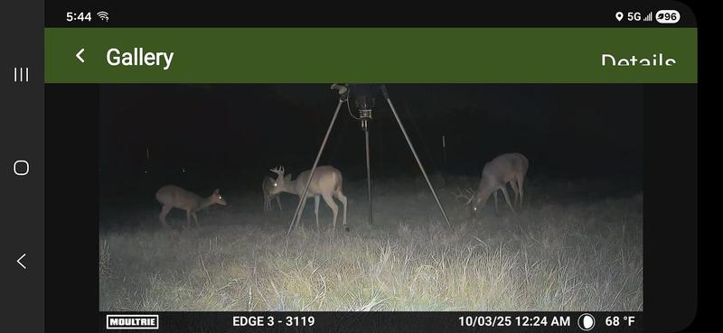 Photo submitted with review of product