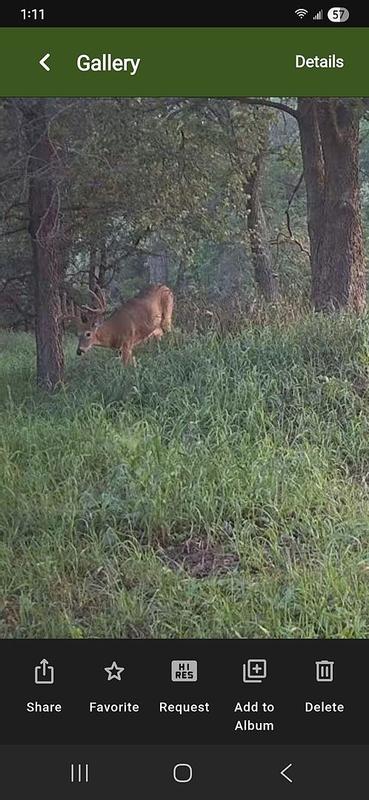 Photo submitted with review of product