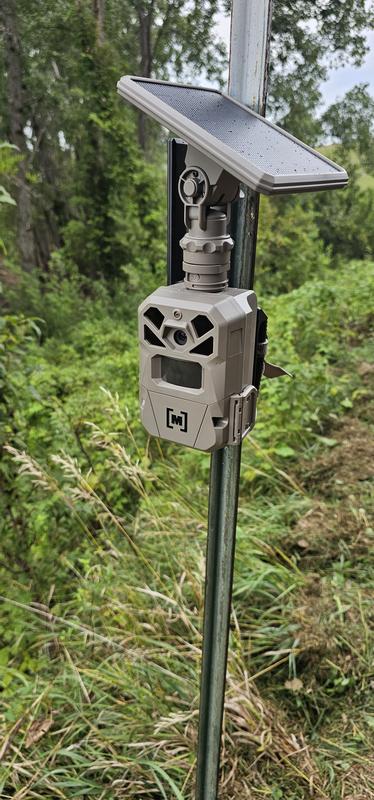 Food plot camera