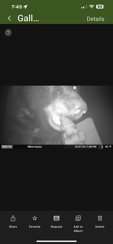 Photo submitted with review of product