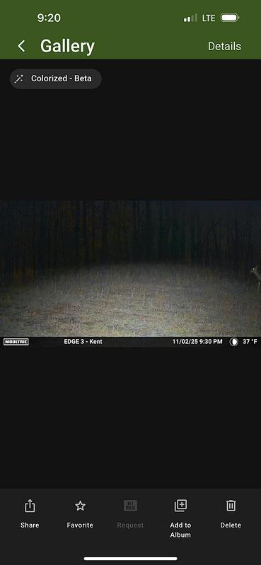 Photo submitted with review of product