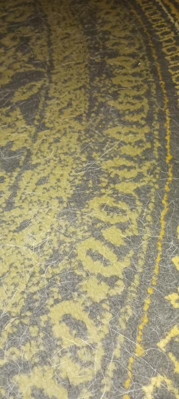 Customer carousel item 1.