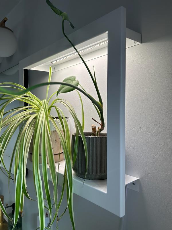 Review Thumbnail Image 1 352789825