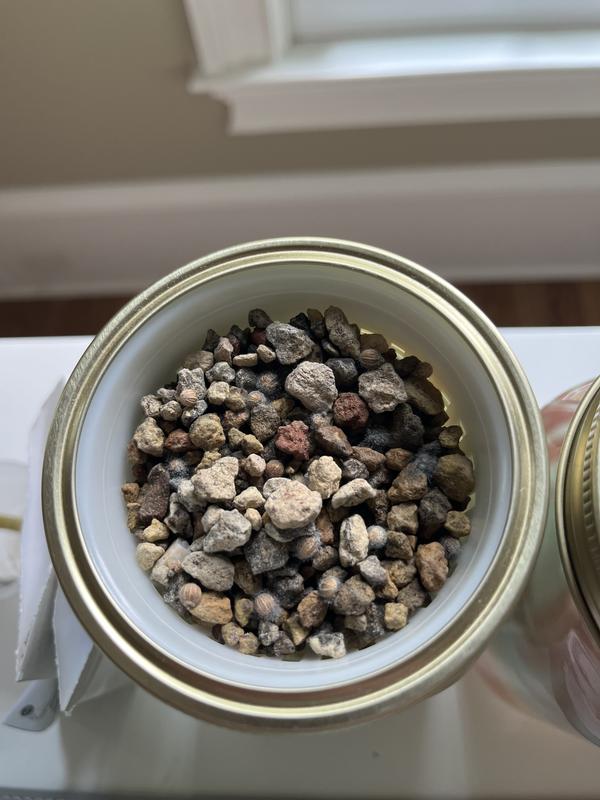 Customer photo for "Only mold grows. Don’t waste money."