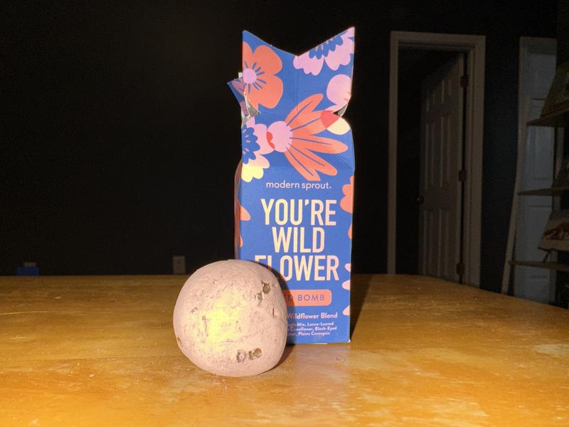 Blender Bombs- Sunflower Seed & Coconut – C.O.R.E. grow strong.