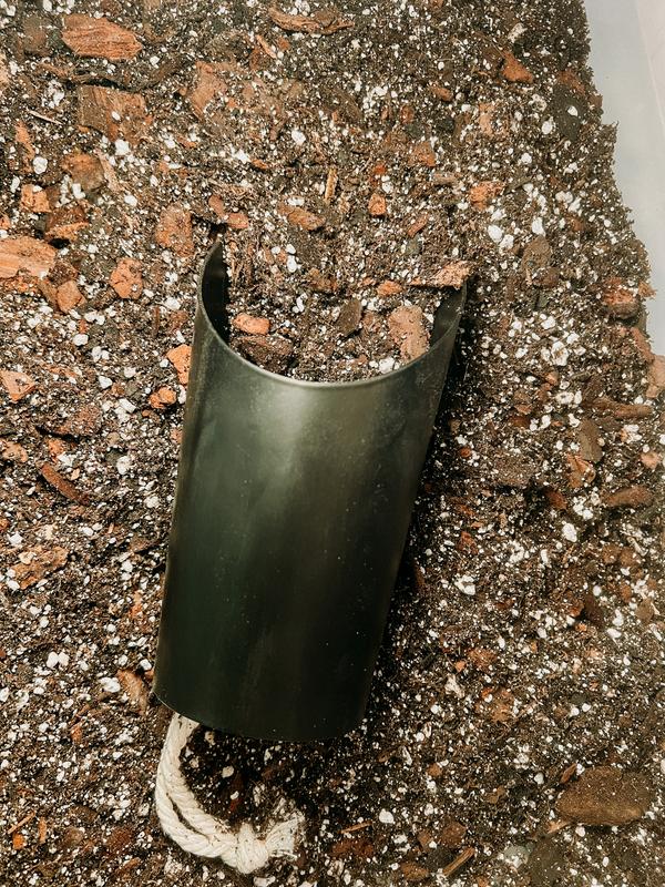 Soil Scoop