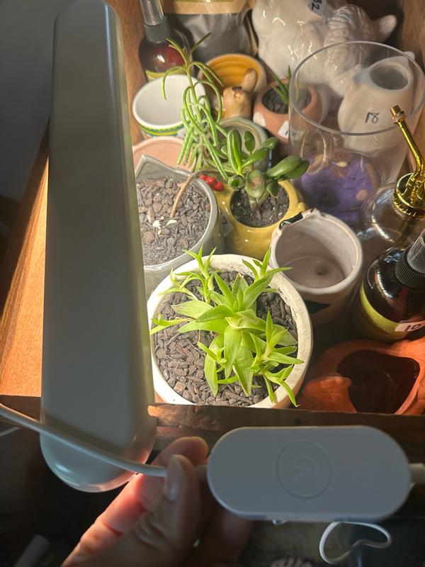 Customer photo for "Simple and easy way to add light to your plants li"